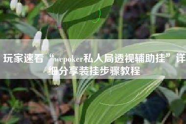 玩家速看“wepoker私人局透视辅助挂	”详细分享装挂步骤教程