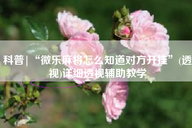科普|“微乐麻将怎么知道对方开挂”(透视)详细透视辅助教学