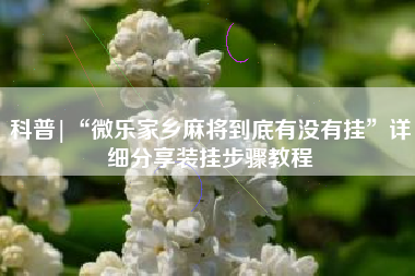 科普|“微乐家乡麻将到底有没有挂	”详细分享装挂步骤教程