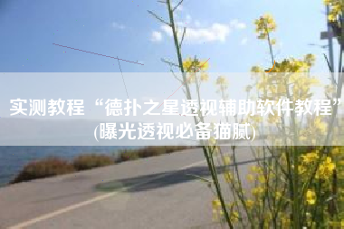 实测教程“德扑之星透视辅助软件教程”(曝光透视必备猫腻)