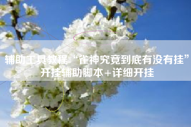 辅助工具教程“雀神究竟到底有没有挂	”开挂辅助脚本+详细开挂