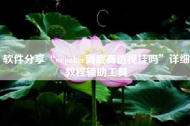 软件分享“wepoker到底有透视挂吗	”详细教程辅助工具