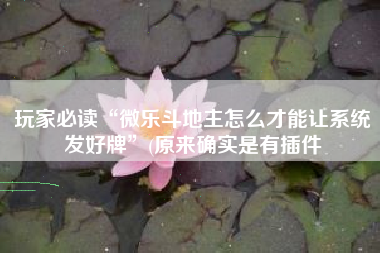 玩家必读“微乐斗地主怎么才能让系统发好牌”(原来确实是有插件