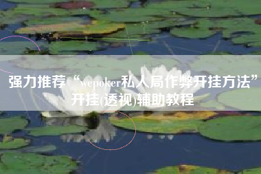 强力推荐“wepoker私人局作弊开挂方法	”开挂(透视)辅助教程