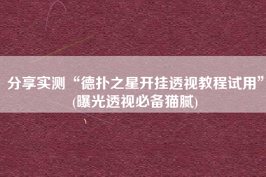 分享实测“德扑之星开挂透视教程试用	”(曝光透视必备猫腻)