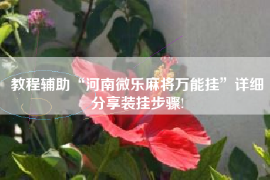教程辅助“河南微乐麻将万能挂”详细分享装挂步骤!