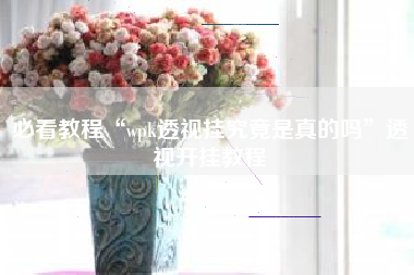 必看教程“wpk透视挂究竟是真的吗”透视开挂教程