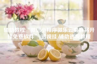 辅助教程“微信小程序微乐云南麻将开挂免费软件”(透视挂)辅助透视教程