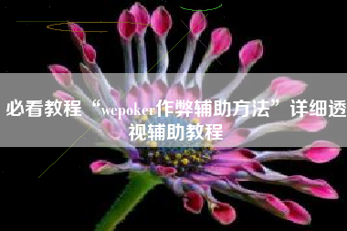 必看教程“wepoker作弊辅助方法”详细透视辅助教程