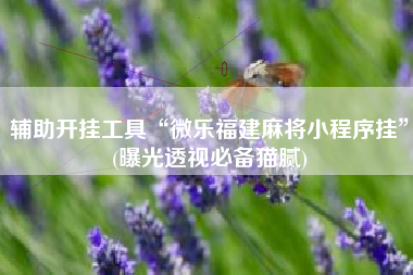 辅助开挂工具“微乐福建麻将小程序挂	”(曝光透视必备猫腻)