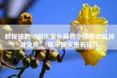 教程辅助“微乐家乡麻将小程序必赢神器免费”(原来确实是有插件