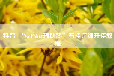 科普|“wePoker辅助器	”有挂详细开挂教程