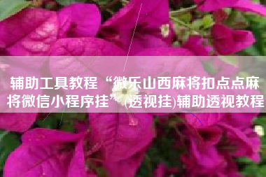 辅助工具教程“微乐山西麻将扣点点麻将微信小程序挂”(透视挂)辅助透视教程