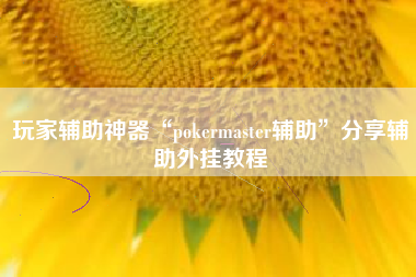 玩家辅助神器“pokermaster辅助”分享辅助外挂教程