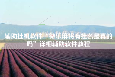 辅助挂机软件“微乐麻将有挂么是真的吗	”详细辅助软件教程