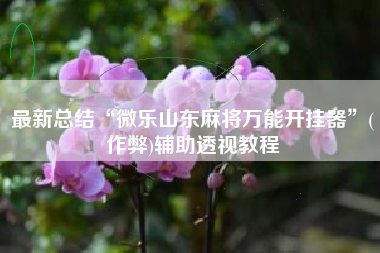 最新总结“微乐山东麻将万能开挂器”(作弊)辅助透视教程