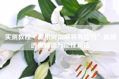 实测教程“微乐河南麻将有挂吗	”揭秘透视辅助万能挂用法