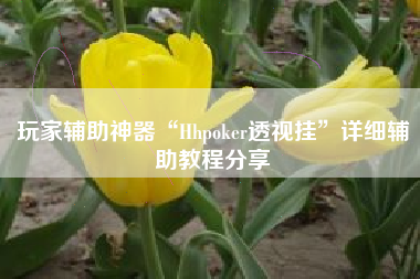 玩家辅助神器“Hhpoker透视挂	”详细辅助教程分享