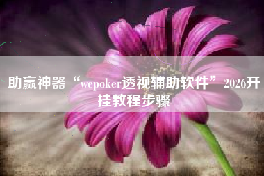 助赢神器“wepoker透视辅助软件”2026开挂教程步骤