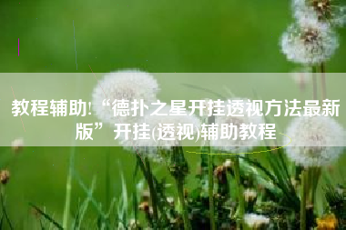 教程辅助!“德扑之星开挂透视方法最新版”开挂(透视)辅助教程