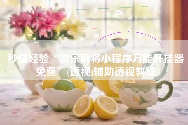 秒懂经验“微乐麻将小程序万能开挂器免费	”(透视)辅助透视教程