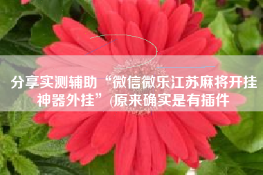 分享实测辅助“微信微乐江苏麻将开挂神器外挂	”(原来确实是有插件