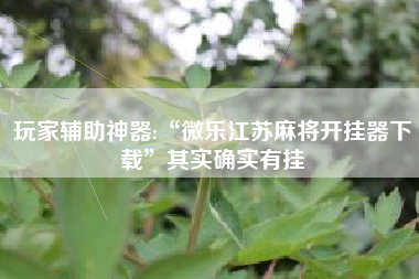 玩家辅助神器:“微乐江苏麻将开挂器下载	”其实确实有挂