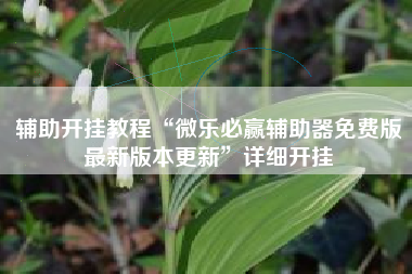 辅助开挂教程“微乐必赢辅助器免费版最新版本更新	”详细开挂