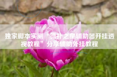 独家脚本实测“德扑之星辅助器开挂透视教程”分享辅助外挂教程