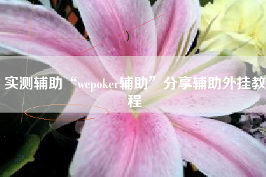 实测辅助“wepoker辅助”分享辅助外挂教程