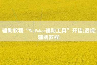 辅助教程“WePoker辅助工具”开挂(透视)辅助教程!