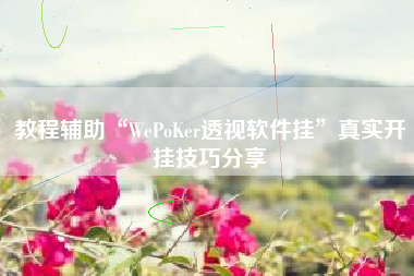 教程辅助“WePoKer透视软件挂”真实开挂技巧分享