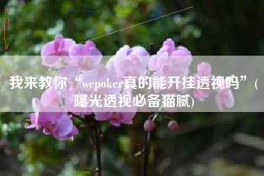 我来教你“wepoker真的能开挂透视吗”(曝光透视必备猫腻)