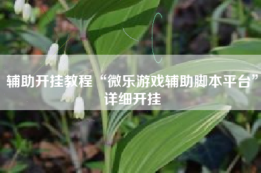 辅助开挂教程“微乐游戏辅助脚本平台”详细开挂