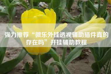 强力推荐“微乐外挂透视辅助插件真的存在吗	”开挂辅助教程