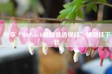 分享“WEPokeR辅助器透视挂	”辅助挂下载