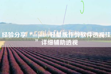 经验分享“wepoker轻量版作弊软件透视挂”详细辅助透视