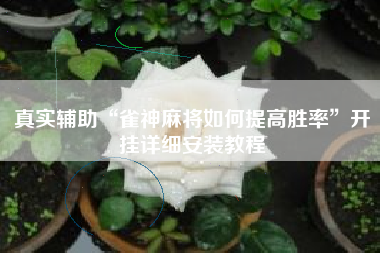 真实辅助“雀神麻将如何提高胜率”开挂详细安装教程