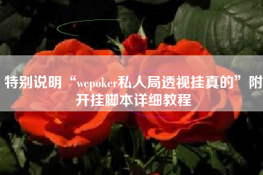 特别说明“wepoker私人局透视挂真的”附开挂脚本详细教程
