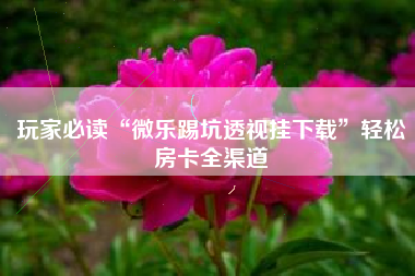 玩家必读“微乐踢坑透视挂下载	”轻松房卡全渠道