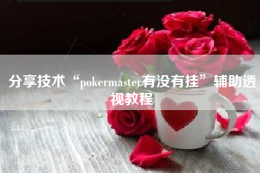 分享技术“pokermaster有没有挂”辅助透视教程