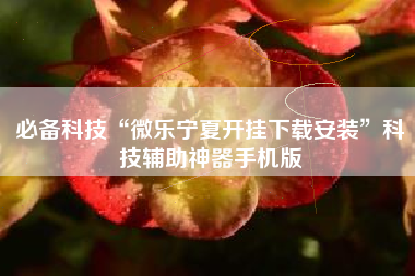 必备科技“微乐宁夏开挂下载安装”科技辅助神器手机版