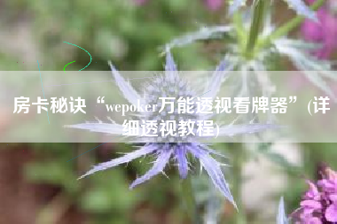 房卡秘诀“wepoker万能透视看牌器	”(详细透视教程)