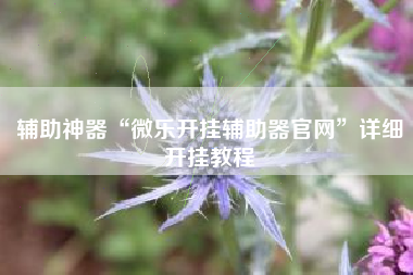 辅助神器“微乐开挂辅助器官网”详细开挂教程