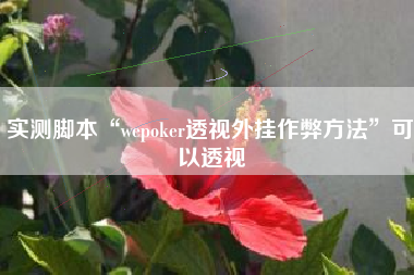 实测脚本“wepoker透视外挂作弊方法”可以透视