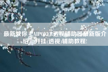 最新教你“AIPOKER透视辅助器最新版介绍”开挂(透视)辅助教程!