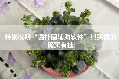 特别说明“德扑圈辅助软件	”其实真的确实有挂