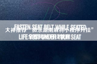 大神推荐“微乐湖南麻将小程序开挂	”全程揭秘开挂教程