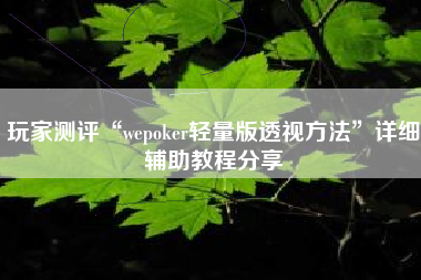 玩家测评“wepoker轻量版透视方法	”详细辅助教程分享