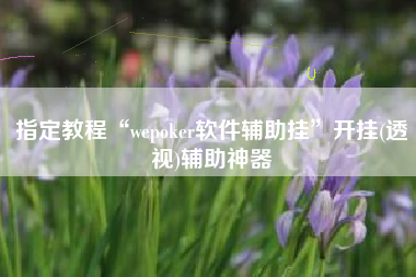 指定教程“wepoker软件辅助挂	”开挂(透视)辅助神器